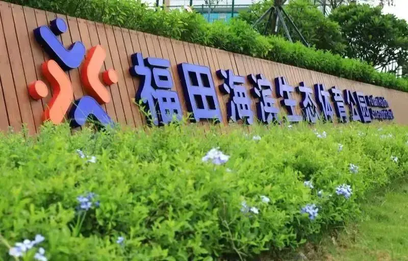 为什么智能娱乐技术能增强篮球训练的趣味性_1